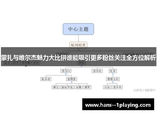 蒙扎与维尔杰魅力大比拼谁能吸引更多粉丝关注全方位解析