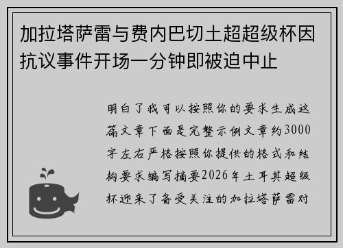 加拉塔萨雷与费内巴切土超超级杯因抗议事件开场一分钟即被迫中止 加拉塔萨雷与费内巴切土超超级杯因抗议事件开场一分钟即被迫中止