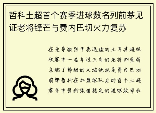 哲科土超首个赛季进球数名列前茅见证老将锋芒与费内巴切火力复苏 哲科土超首个赛季进球数名列前茅见证老将锋芒与费内巴切火力复苏